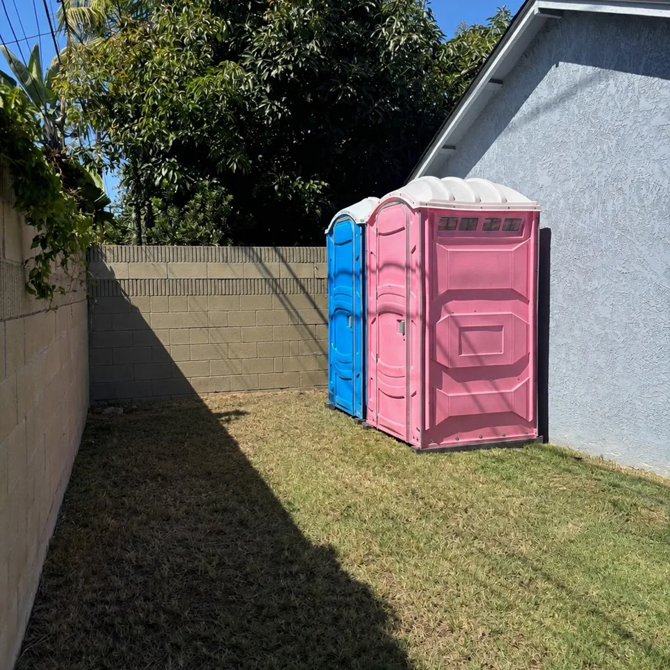 Pink and blue portable toilets on a lawn beside a building
